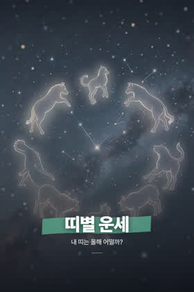 띠별 운세